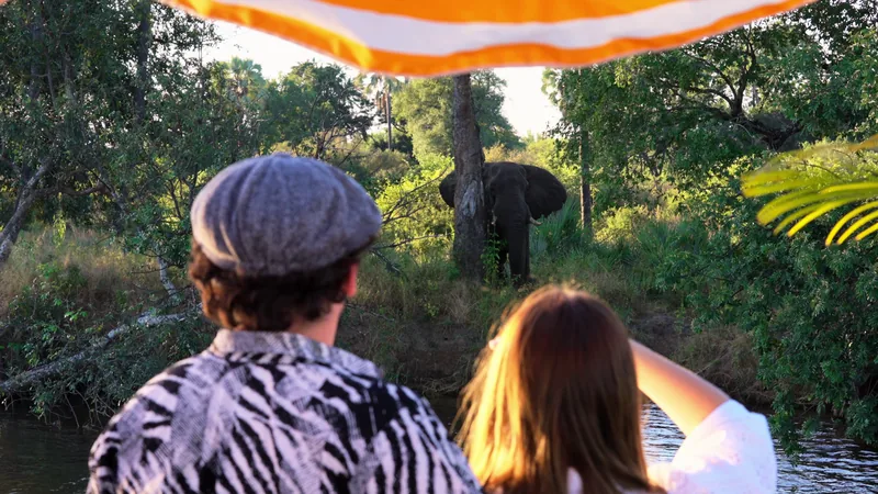 Guests spotting an elephant on the riverbank from the boat