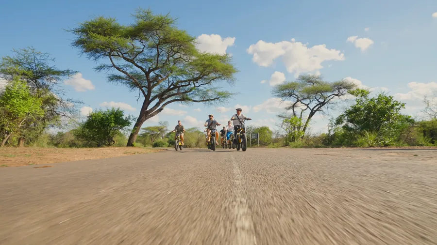 Riders on e-bikes under acacia trees